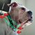 Christi Villneauve's profile image
