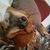 Joe Gale's profile image