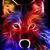 Jorge Xavier Pinzon's profile image