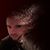 Adam Dexter's profile image