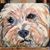 Fernando Franco's profile image