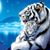 Cheryl Kinser's profile image