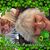 Denise Lee Boaen's profile image