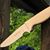 Moffatt Bradford Jr's profile image
