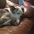 Patricia Rose Farrell's profile image