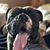 Scott Duren's profile image