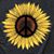 Nancy Wielgos Kitch's profile image