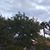 Sharon Zeller- Mohr's profile image