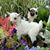 Karen Loughner Fox's profile image