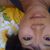 Jen Den's profile image