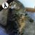 Patty Holloway's profile image