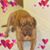 Carolyn Sullivan Conditt's profile image