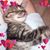 Mary Rockow's profile image