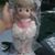 Jessica Anne Ward's profile image