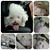 Juan Pablo Aguilar Cabezas's profile image