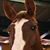 Maria Suarez's profile image