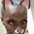 Beverly L Lakaita's profile image