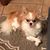 Misty Roberts Despino's profile image