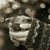 Renee Abbott's profile image