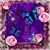 Erin DeGrave's profile image