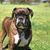 Sandy Groves's profile image