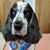 Peter Fuller's profile image