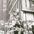 Susan Adams Nealy's profile image
