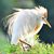 Kathy Cuff's profile image