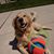 Bernadette Duffy's profile image