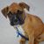 Jesse Marie Farnen's profile image