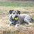 Steve Berube's profile image