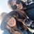 Savanna Beebee's profile image