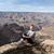 Summer Dupont Armagost's profile image