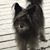 Nancy L Rawlinson's profile image