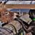 Jonathan Patrick Quidore's profile image