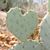 Tina Hilkemeyer's profile image