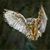 Jo Hooton's profile image