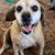 Patti Honacki's profile image