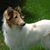 Mary Anderson's profile image