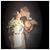 Erica Stafura's profile image