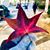 Dana Lafita-Smith's profile image