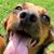 Erin Smith's profile image