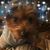 Susan Kelley Kissinger's profile image