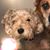Christine DeCrane Magda's profile image