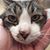 Jeannine Johnston Fishel's profile image