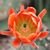 Robert Phillips's profile image