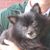 Debby Simms's profile image