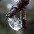 Lily Dumais Ethier's profile image