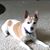 Ann Taormina's profile image