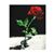 Ro Frank's profile image